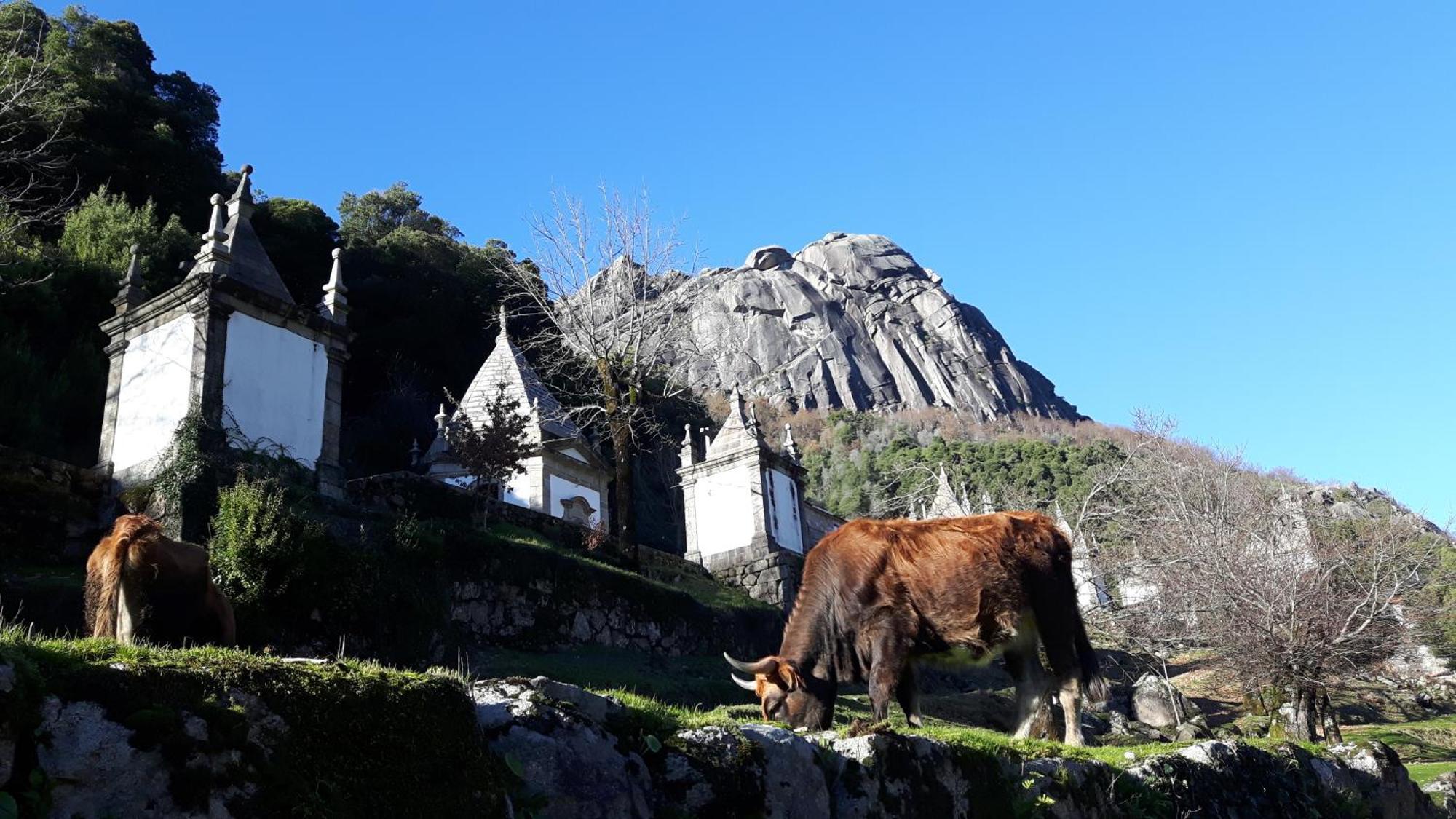 Penedino Mountain Cottage Arcos de Valdevez Luaran gambar