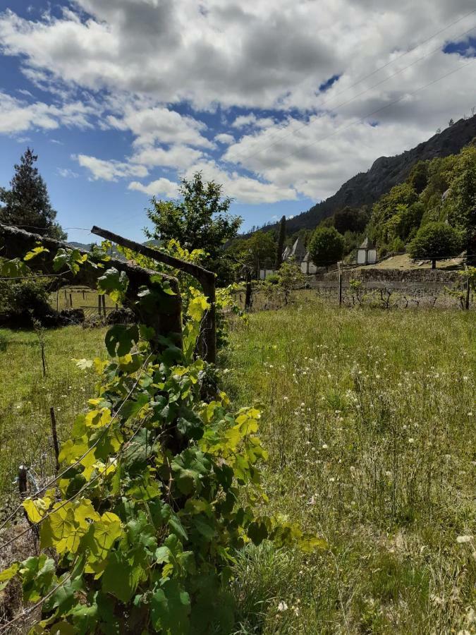 Penedino Mountain Cottage Arcos de Valdevez Luaran gambar